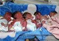 تولد نوزادان 6 قلو در بیمارستان الزهرای تبریز