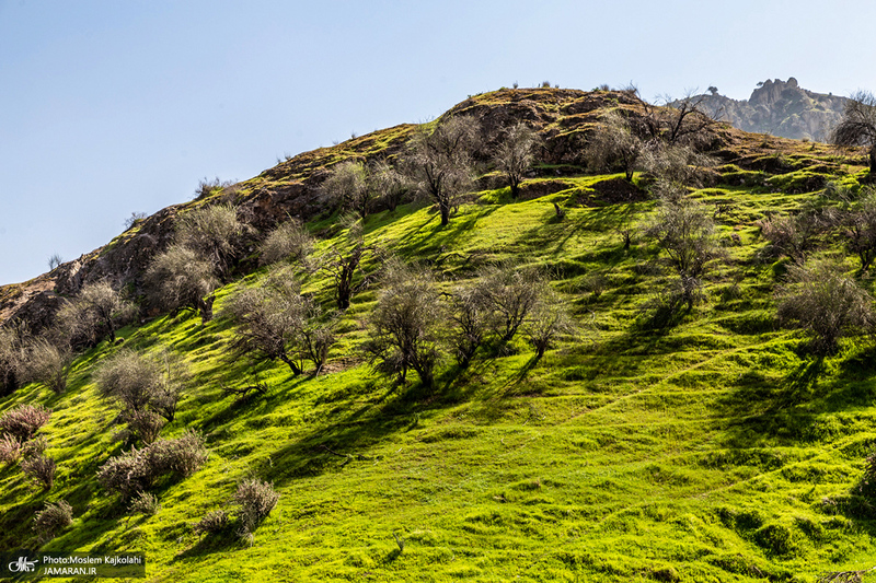 طبیعت بکر و زیبای«کفشکنان»