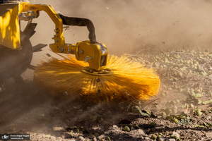 برداشت مکانیزه گردو در استان زنجان