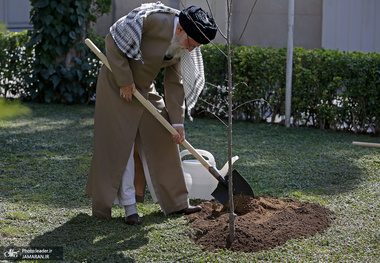 کاشت دو اصله نهال میوه توسط رهبر معظم انقلاب