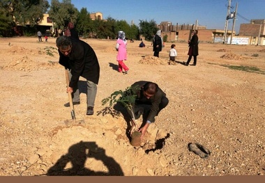 کاشت 50 هزار اصله نهال در اردبیل همزمان با روز درختکاری