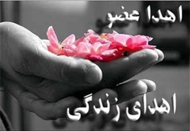 جوان ۱۸ ساله با مرگ خود به ۴ نفر زندگی دوباره بخشید