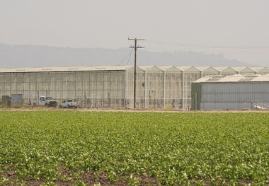 اولین قربانی سیاست ضد مهاجرتی ترامپ در آمریکا 