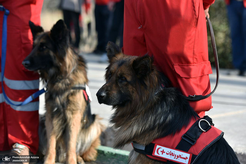 آغاز اجرای طرح ملی خدمات نوروزی هلال احمر از جوار حرم امام خمینی (س)