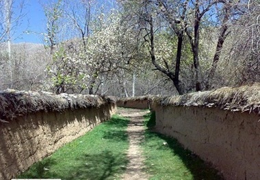 درخواست های سرمایه گذاری درروستای فاروق مرودشت بررسی می شود