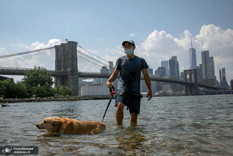 منتخب تصاویر امروز جهان- 21 مرداد