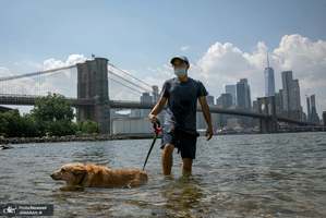 منتخب تصاویر امروز جهان- 21 مرداد