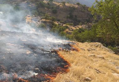 آتش‌سوزی مراتع روستای شور درق مرند مهار شد