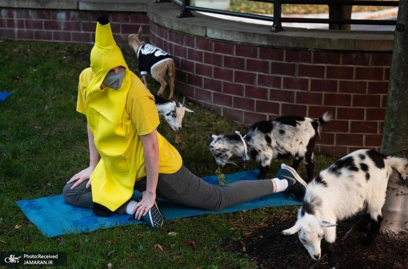 منتخب تصاویر امروز جهان- 10 آبان