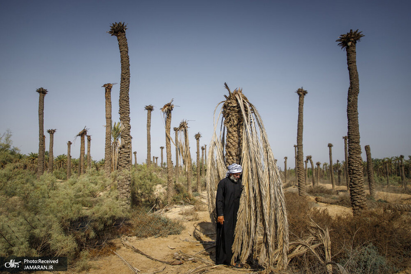 منتخب تصاویر امروز جهان- 9 مرداد 1400