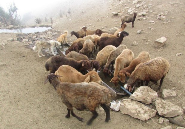 143 دستگاه آبشخور فلزی در مراتع کردستان نصب شد