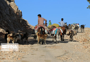 کوچ بهاره عشایر اندیکا به مناطق ییلاقی