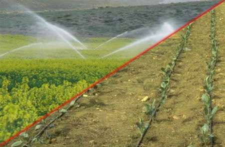 55 هزارهکتار زمین کشاورزی در آذربایجان غربی مجهز به آبیاری نوین است