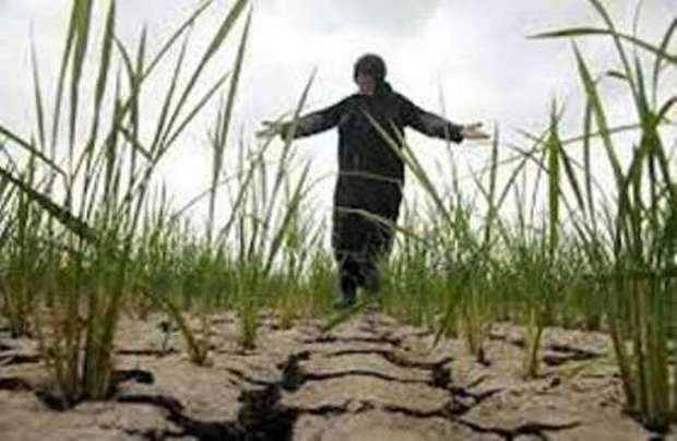 پاییزه شدن خشکسالی در مازندران