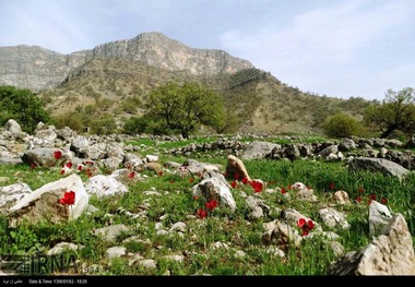 بیش از 192هزار گردشگر از شهرستان اندیکا دیدن کردند