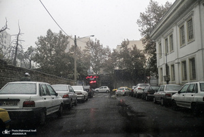 بارش برف پاییزی در برخی نقاط تهران - 25 آبان