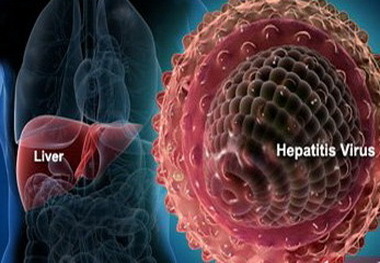 پیشگیری مهمترین راهکار مبارزه با هپاتیت   این بیماری از راه خون منتقل می شود