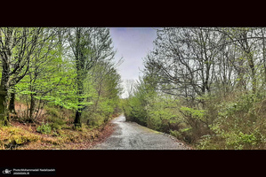 دریاچه آویدر نوشهر