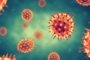 مهمترین اطلاعات در مورد ژن نادر ویروس کرونا