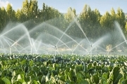 تبدیل آب شور به آب کشاورزی با دستگاهی ایرانی