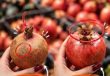 راهنمای انتخاب بهترین میوه و صیفی جات با چند نکته ساده + عکس