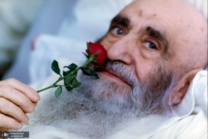 آیت الله العظمی سید‌ شهاب‌ الدین مرعشی‌ نجفی(ره) به روایت تصویر