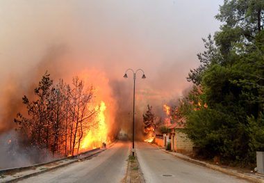 تصاویر/ آتش سوزی در لبنان