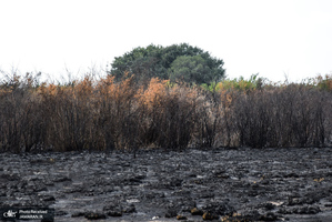 منتخب تصاویر امروز جهان- 12 تیر 1400