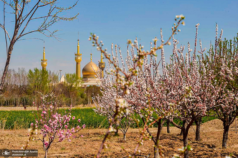 حال و هوای بهاری در حرم مطهر امام خمینی (س)