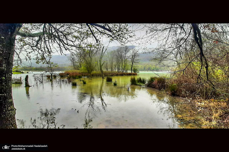 دریاچه آویدر نوشهر