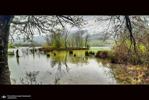 دریاچه آویدر نوشهر