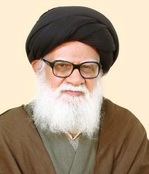 سیدحسن  مرتضوی شاهرودی