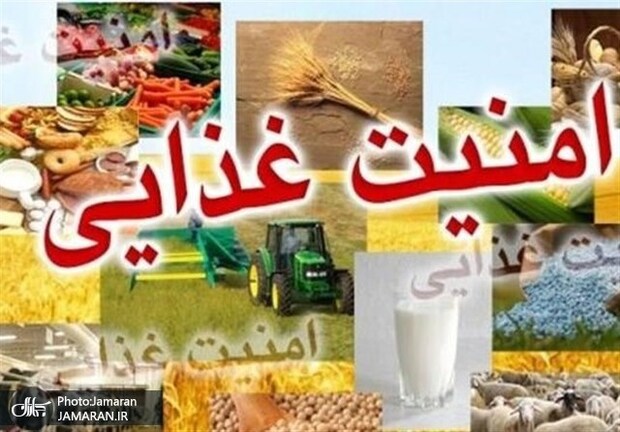 عضو هیات نمایندگان اتاق ایران و هرمزگان: وزارت جهاد کشاورزی برخی فرصت‌ های ارزی را از بخش خصوصی واقعی می گیرد/ ادامه این روند نظم تامین کالاهای اساسی را بر هم می‌ زند
