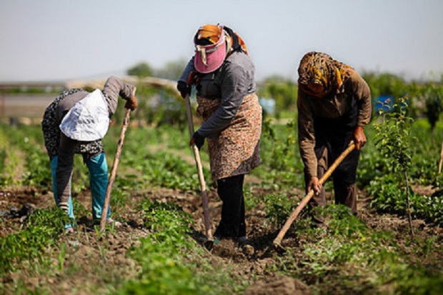 ظرفیتهای روستایی از مبانی تحقق اقتصاد مقاومتی است