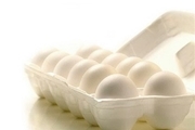 قابل توجه علاقه مندان تخم‌مرغ! مصرف چند عدد تخم مرغ در روز بی‌خطر است؟