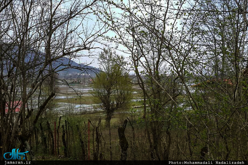 طبیعت رویایی ماسال گیلان