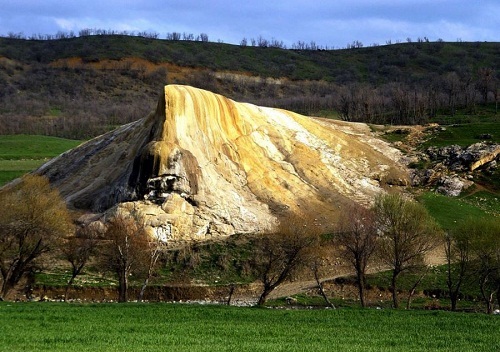 گراوان چشمه ای که سازه می سازد