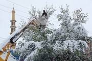 برف و کولاک، برق ۱۰ روستای الیگودرز را قطع کرد