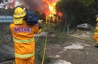 آتش سوزی جنگل های سیدنی