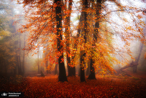 منتخب تصاویر امروز جهان- 10 آبان 1400