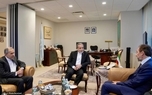 دیدار رئیس گروه ریش‌سفیدان بین‌المللی با عراقچی + عکس