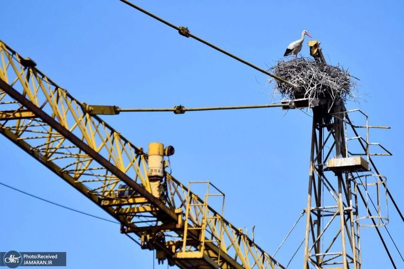 منتخب تصاویر امروز جهان- 15 خرداد