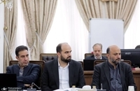 جلسه کمیته هماهنگی و نظارت بر اجرای قانون حمایت از حقوق افراد دارای معلولیت (7)