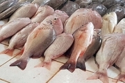 حکایت تکراری مشکلات بازار ماهی فروشان بندرعباس