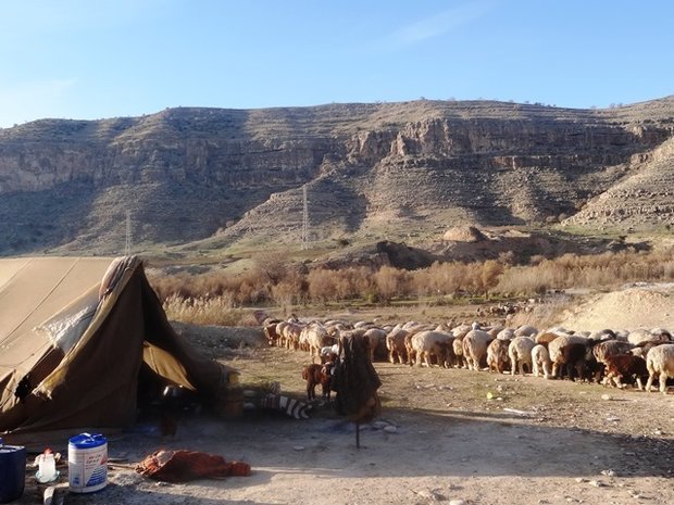 خدمات رسانی به 3000 خانوار عشایری در کهگیلویه وچرام