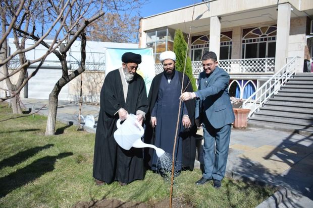 امام جمعه تبریز: درختکاری از کارهای ارزشمند برای حفظ محیط زیست است