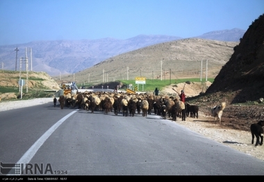 عشایر دام ها را با بارنامه به مناطق ییلاقی جابجا کنند