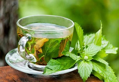 این گیاهان دارویی را حتما در خانه داشته باشید
