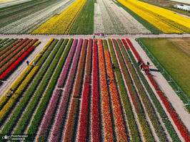 منتخب تصاویر امروز جهان - 22 و 23 فروردین 1404