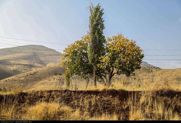 جاذبه های گردشگری پاییزی کردستان - عبدالله رحمانی**